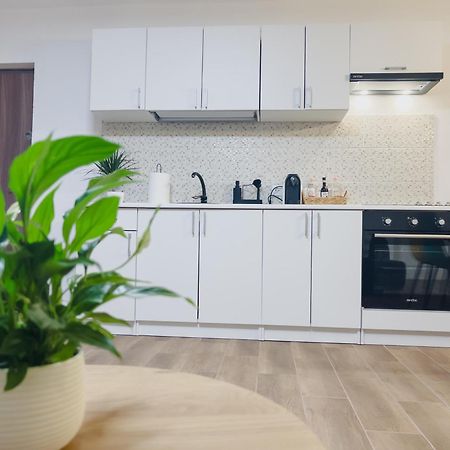 Subcetate Apartment Сигишоара Екстериор снимка