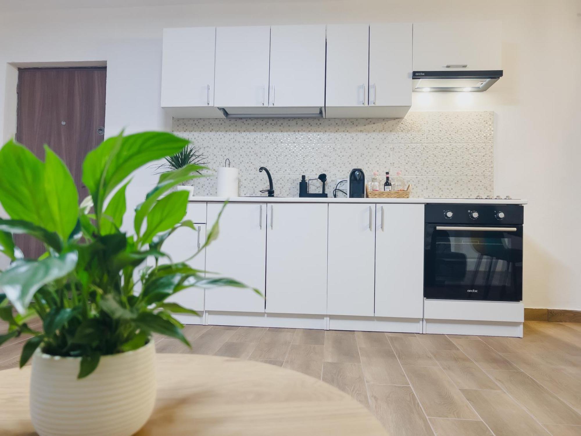 Subcetate Apartment Сигишоара Екстериор снимка