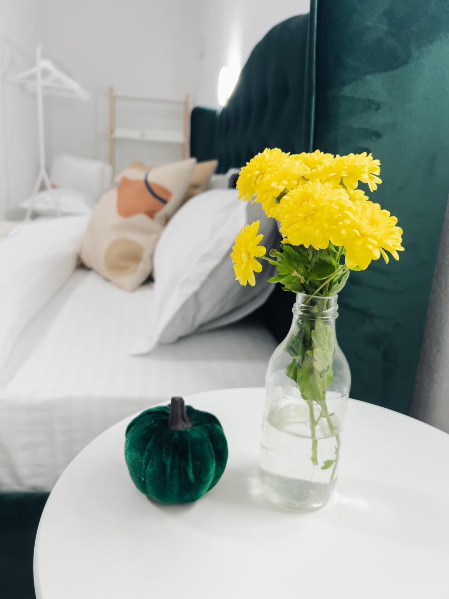 Subcetate Apartment Сигишоара Екстериор снимка